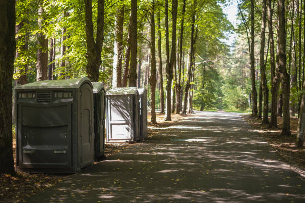 Best Porta potty rental for parties  in Mccullom Lake, IL